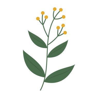 Renkli çiçekli, dutlu ve yapraklı düz botanik elementler..