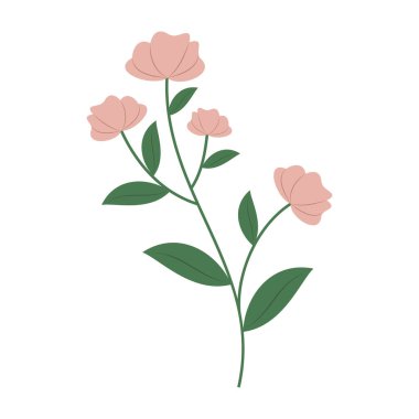 Renkli çiçekli, dutlu ve yapraklı düz botanik elementler..