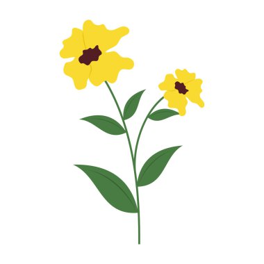 Beyaz arka planda yeşil yapraklı çeşitli renkli çiçekler. Bahar ve Yaz Sezonu.