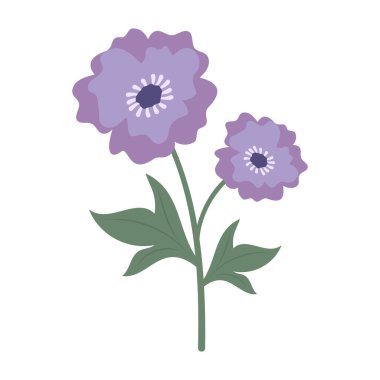 Beyaz arka planda yeşil yapraklı çeşitli renkli çiçekler. Bahar ve Yaz Sezonu.