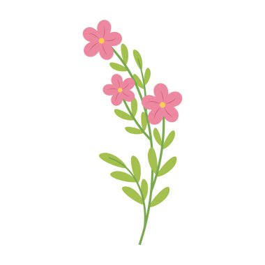 Beyaz arka planda basit renkli çiçekler ve yapraklar. Bahar ve Yaz Sezonu.