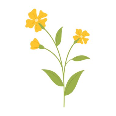 Beyaz arka planda basit renkli çiçekler ve yapraklar. Bahar ve Yaz Sezonu.