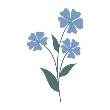 Beyaz arka planda basit renkli çiçekler ve yapraklar. Bahar ve Yaz Sezonu.