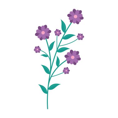 Beyaz arka planda yeşil yaprakları olan sevimli ve renkli basit çiçekler. Bahar ve Yaz Sezonu.