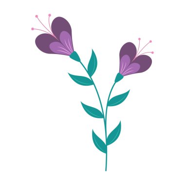 Beyaz arka planda yeşil yaprakları olan sevimli ve renkli basit çiçekler. Bahar ve Yaz Sezonu.