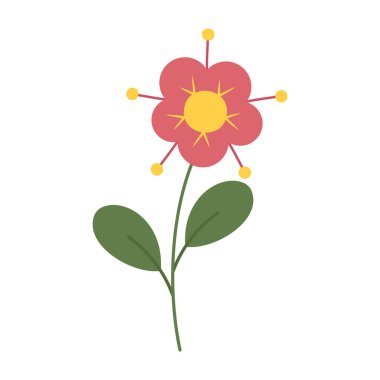 Beyaz arka planda yeşil yaprakları olan sevimli ve renkli basit çiçekler. Bahar ve Yaz Sezonu.