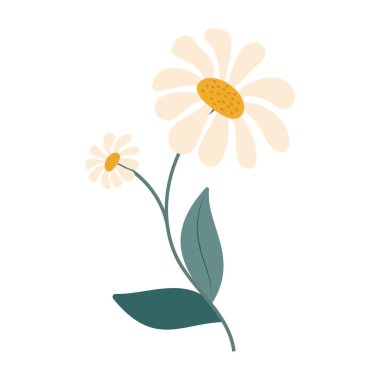 Beyaz arka planda yeşil yaprakları olan sevimli ve renkli basit çiçekler. Bahar ve Yaz Sezonu.