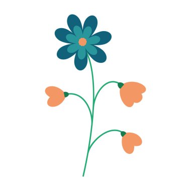 Temiz beyaz arka planda yeşil yapraklı narin renkli çiçekler. Bahar ve Yaz Sezonu.