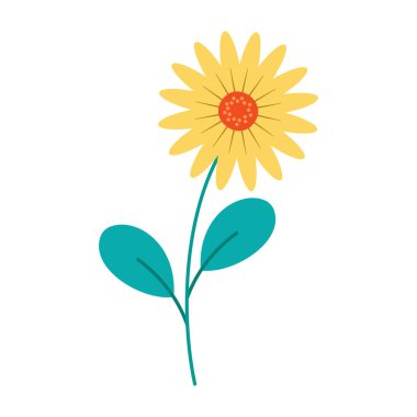 Temiz beyaz arka planda yeşil yapraklı narin renkli çiçekler. Bahar ve Yaz Sezonu.