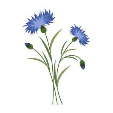 Temiz beyaz arka planda yeşil yapraklı narin renkli çiçekler. Bahar ve Yaz Sezonu.