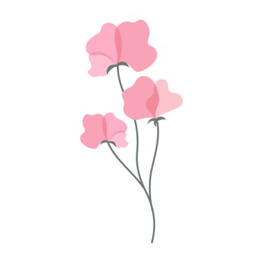 Temiz beyaz arka planda yeşil yapraklı narin renkli çiçekler. Bahar ve Yaz Sezonu.