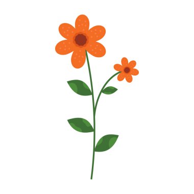 Yeşil saplı ve beyaz arkaplanda yaprakları olan basit ve renkli çiçek çizimleri. Bahar ve Yaz Sezonu.