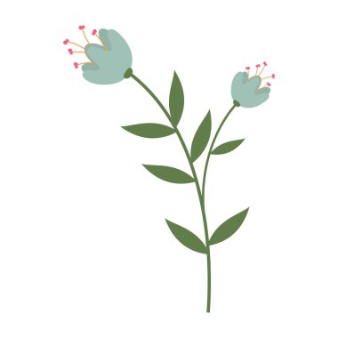 Yeşil saplı ve beyaz arkaplanda yaprakları olan basit ve renkli çiçek çizimleri. Bahar ve Yaz Sezonu.