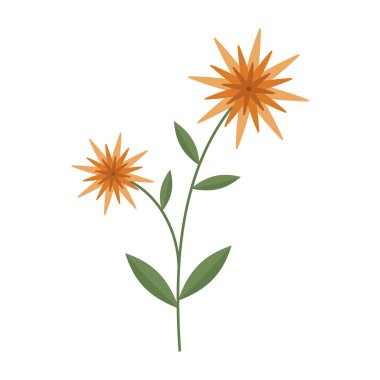 Yeşil saplı ve beyaz arkaplanda yaprakları olan basit ve renkli çiçek çizimleri. Bahar ve Yaz Sezonu.