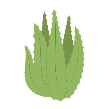 Basit karikatür kaktüsleri ve çiçekli sulu bitkiler..