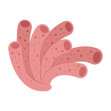 Çizgi film tarzı su altı bitkileri, mercanlar, süngerler ve deniz yaşamı şekilleri..