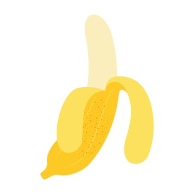 Beyaz arka planda çeşitli tropikal ve egzotik meyvelerin düz çizimleri.