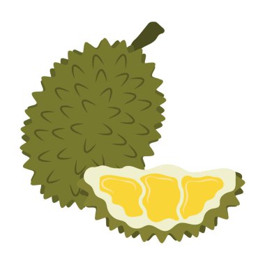 Beyaz arka planda çeşitli tropikal ve egzotik meyvelerin düz çizimleri.