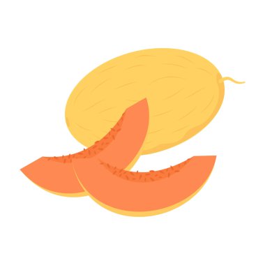 Beyaz arka planda çeşitli tropikal ve egzotik meyvelerin düz çizimleri.