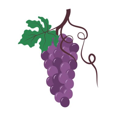 Sulu meyveler ve egzotik tropikal ürünlerin renkli düz simgeleri.