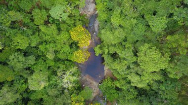 view of the city of the nova friburgo of the state of rio de janeiro