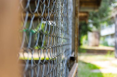 Metal tel örgüleri yakın plan doğal arka plan bulanıklığı.