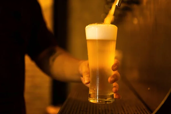 Glass of craft beer at restaurant and bar, Food and beverage