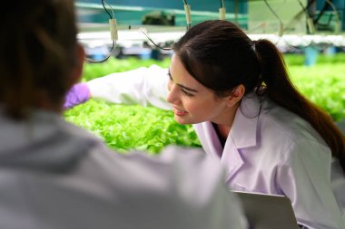 Smart farm with technology, People with indoor farm factory, Researchers developing vegetable varieties at greenhouse agriculture