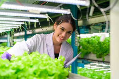 Smart farm with technology, People with indoor farm factory, Researchers developing vegetable varieties at greenhouse agriculture