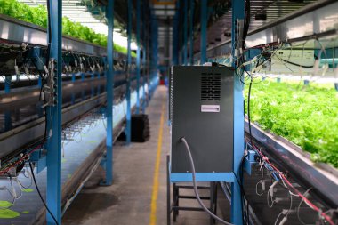 Smart farm with technology, People with indoor farm factory, Researchers developing vegetable varieties at greenhouse agriculture