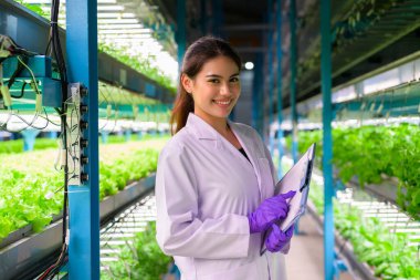 Smart farm with technology, People with indoor farm factory, Researchers developing vegetable varieties at greenhouse agriculture
