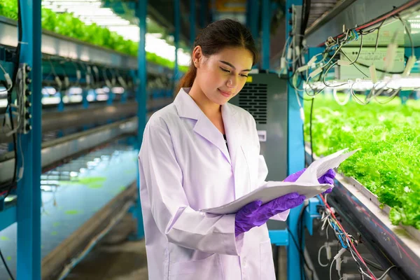 Smart farm with technology, People with indoor farm factory, Researchers developing vegetable varieties at greenhouse agriculture