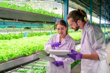 Smart farm with technology, People with indoor farm factory, Researchers developing vegetable varieties at greenhouse agriculture