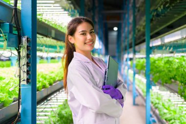 Smart farm with technology, People with indoor farm factory, Researchers developing vegetable varieties at greenhouse agriculture