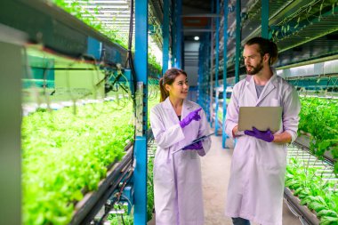 Smart farm with technology, People with indoor farm factory, Researchers developing vegetable varieties at greenhouse agriculture