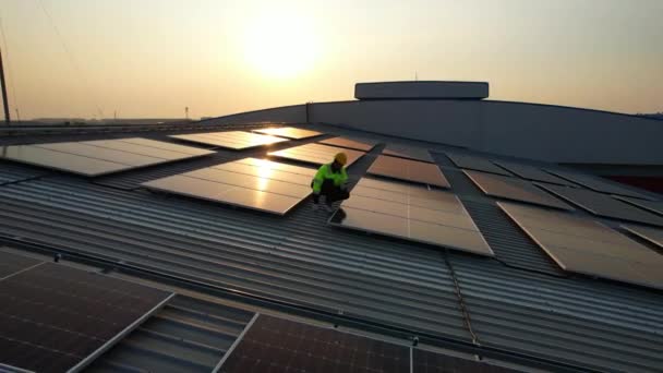 太阳能电池农场发电厂和太阳能电池板 夕阳西下 太阳能与温暖的天空 清洁能源 替代能源 — 图库视频影像