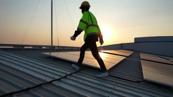 Solar Cell Farm Power Plant Solar Panels Sunset Evening Solar — Vídeo de stock