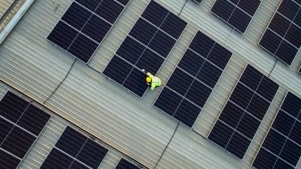 Solar Cell Farm Power Plant Solar Panels Sunset Evening Solar — Stok video
