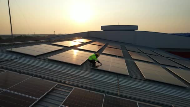 Planta Energia Fazenda Célula Solar Painéis Solares Com Pôr Sol — Vídeo de Stock