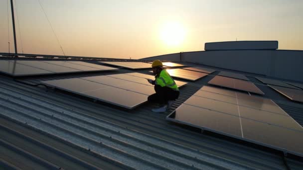 夕方の日没と太陽電池ファーム発電所と太陽電池パネル 暖かい空と太陽エネルギー クリーンエネルギー 代替エネルギー — ストック動画