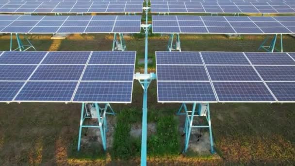 太陽電池ファームの太陽光発電所の太陽光パネル 太陽光からのグリーンエネルギー フィールドの生態系太陽光発電 自然環境からの電気革新 — ストック動画