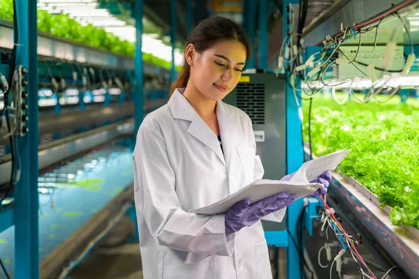 Smart Farm Technology People Indoor Farm Factory Researchers Developing Vegetable — Stock Fotó