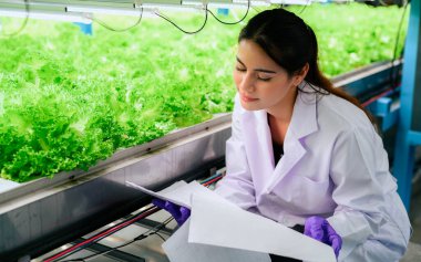 Smart farm with technology, People with indoor farm factory, Researchers developing vegetable varieties at greenhouse agriculture