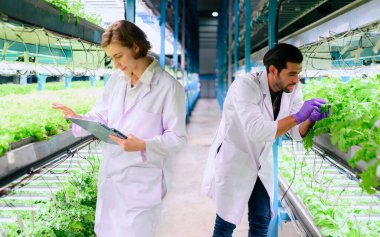 Smart farm with technology, People with indoor farm factory, Researchers developing vegetable varieties at greenhouse agriculture