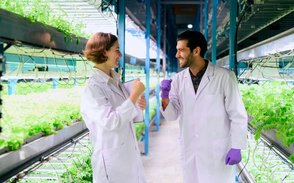 Intelligens Farm Technológiával Emberek Beltéri Mezőgazdasági Üzem Kutatók Fejlődő Növényi — Stock Fotó