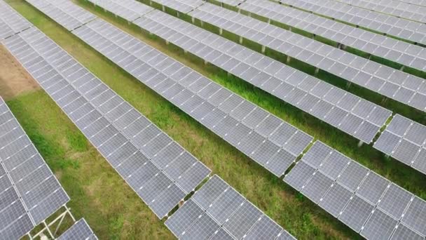 Usina Com Campo Verde Técnico Que Trabalha Fazenda Solar Ecológica — Vídeo de Stock