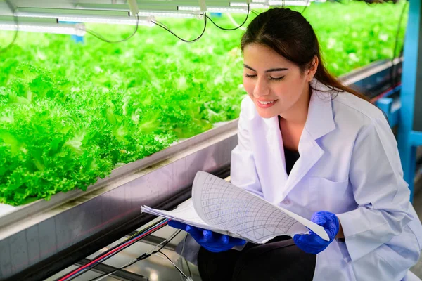 Biológus Ellenőrzése Minőség Nyilvántartás Növekvő Hidroponikus Zöldség Üvegházakban Intelligens Tanya — Stock Fotó