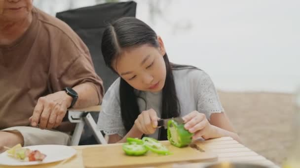 Família Asiática Feliz Com Festa Churrasco Praia Acampamento Juntos Cozinhando — Vídeo de Stock