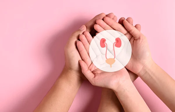 Hands Holding Virtual Kidneys Icon Abstract Background World Kidney Day — Stock Photo, Image