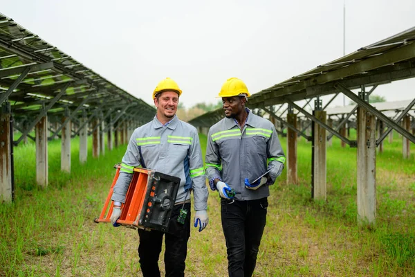 Професійні Інженери Які Перевіряють Підтримують Сонячні Панелі Фермі Сонячних Батарей — стокове фото